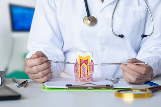 Best Emergency Gum Treatment in Boyertown, PA